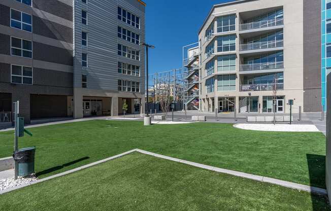 a lawn in front of a building with grass