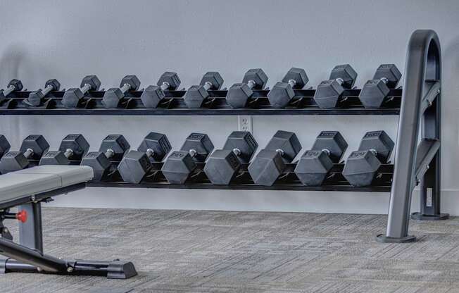 a row of dumbbells on a rack in a gym at Copper 87, West Jordan