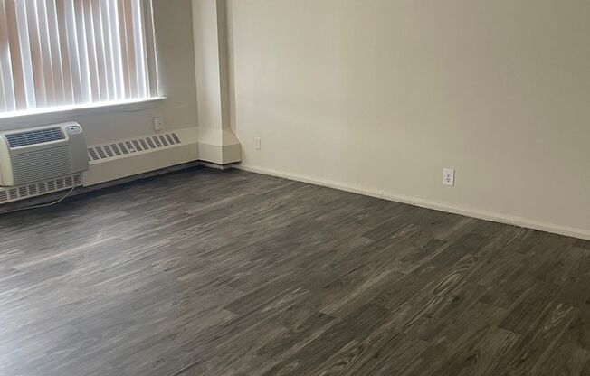 Studio, 1 bath, 400 sqft, $1,200, Unit 705