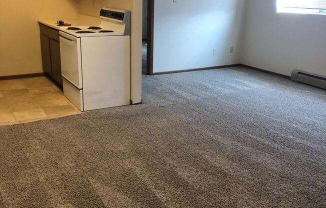 1 bed, 1 bath, 580 sqft, $650, Unit 1530-07