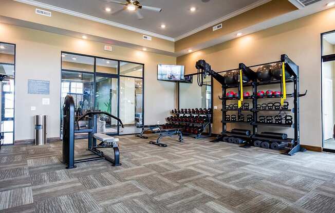 A gym with a variety of equipment including weights and a bench.