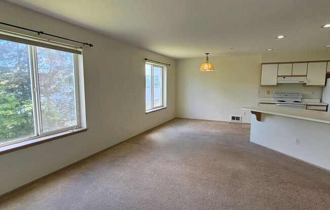 Partial View Condo