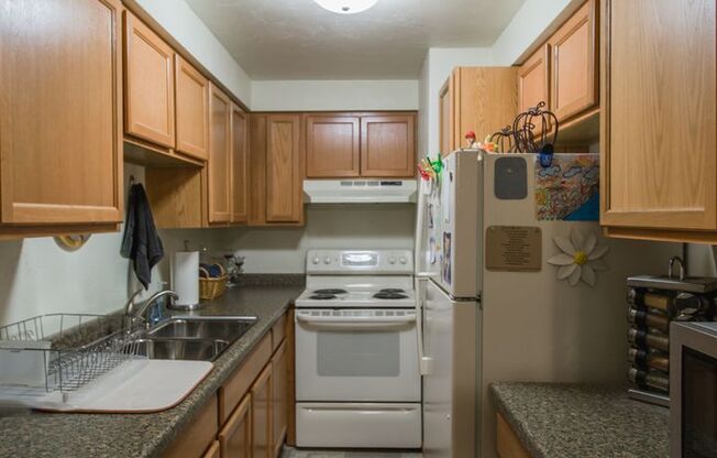 1 bed, 1 bath, $975