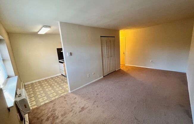 Studio, 1 bath, 325 sqft, $925, Unit A106
