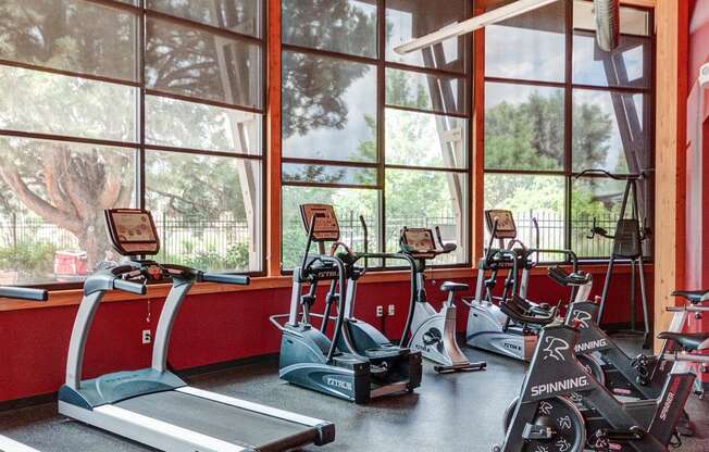 Gym Equipment at University Village Apartments, Colorado Springs, 80918