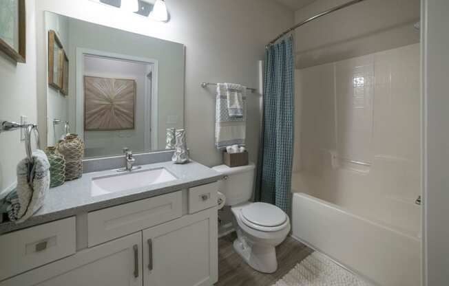 a bathroom with a sink toilet and a shower