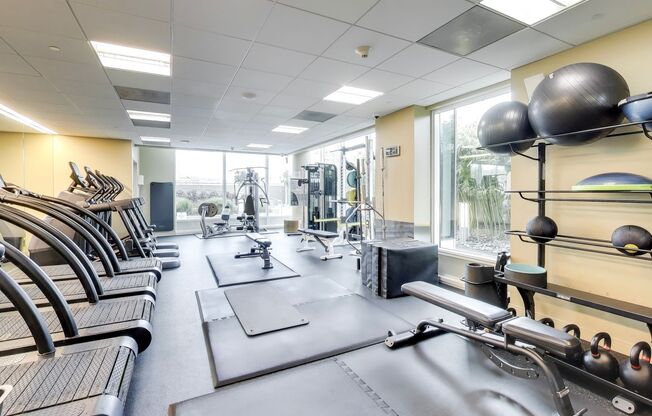 2 beds, 2 baths, $6,995