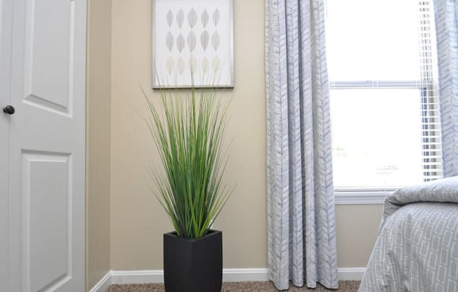 a bedroom with two windows and a plant in a black vase