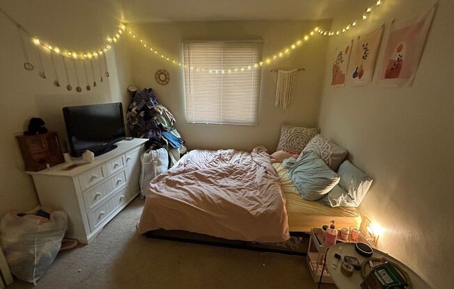 1 bed, 1 bath, $850, Unit 119