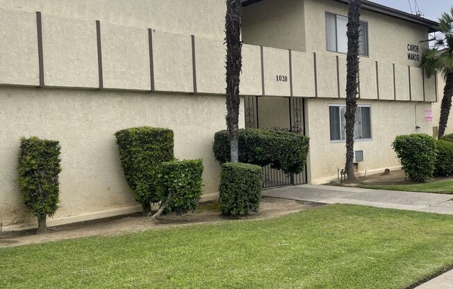 1020 Carob