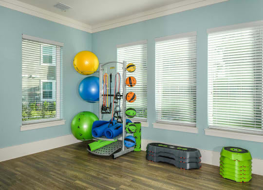 Fitness Center 1 at Dunedin Commons Apartment Homes in Dunedin, Florida, FL