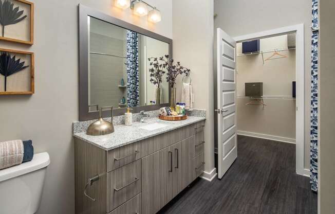 a bathroom with a large mirror and a sink