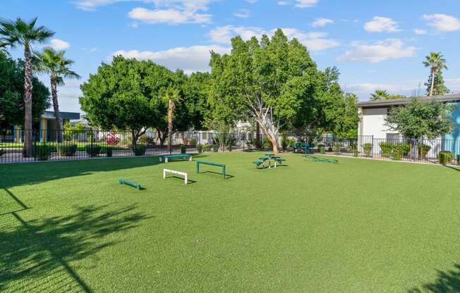 Tempe, AZ Apartments – Sono Tempe –  Dog park with agility equipment and lots of green grass area