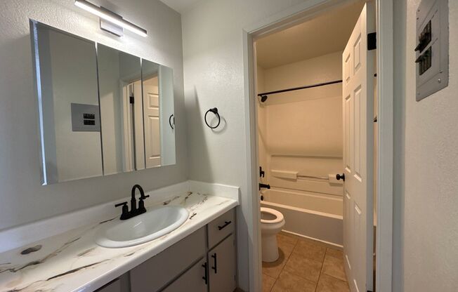 Studio, 1 bath, 410 sqft, $925, Unit 487-09