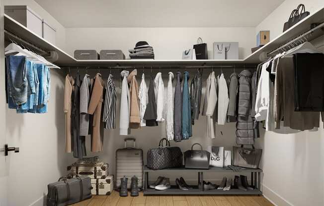 Spacious Closet