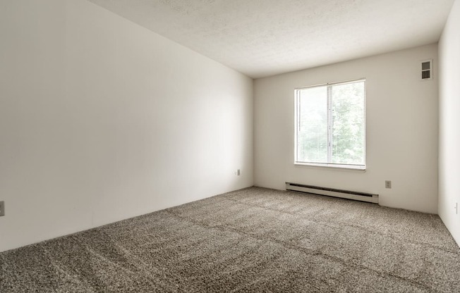 A room with a carpeted floor and a window