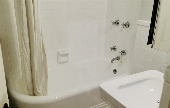 Studio, 1 bath, 365 sqft, $2,490, Unit 203