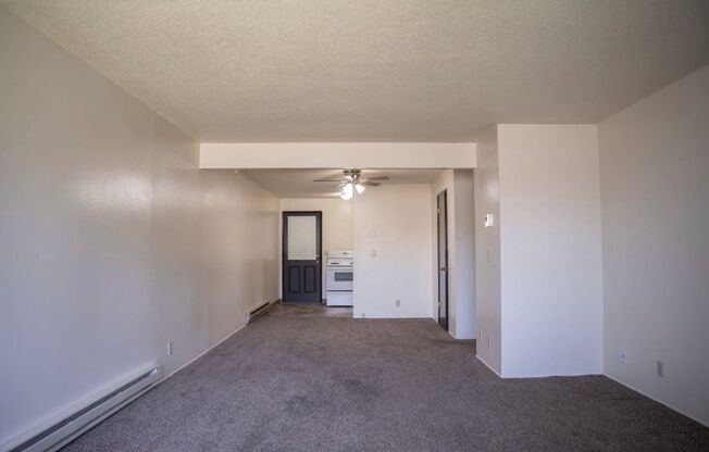 2 beds, 1 bath, 1,000 sqft, $1,495