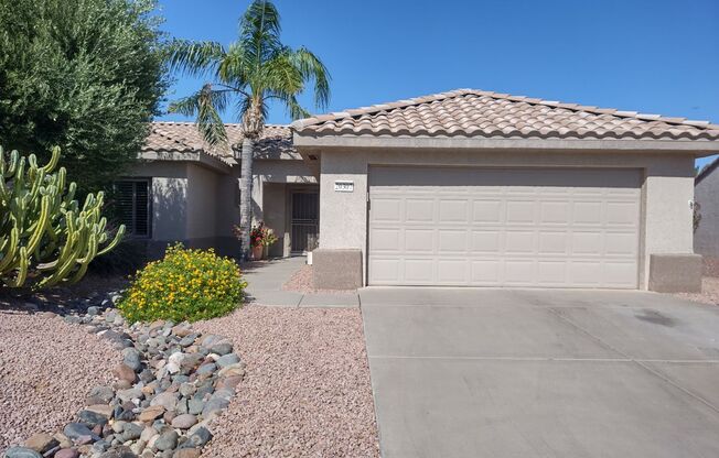 Sun City Grand - Great Adult Community in Surprise