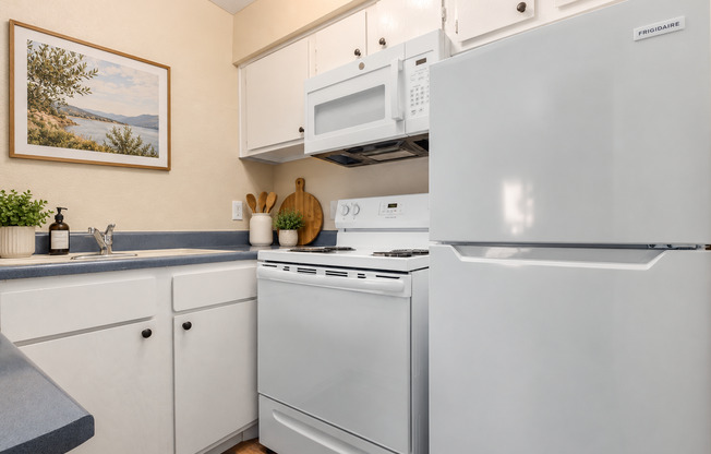 1 bed, 1 bath, 400 sqft, $1,295, Unit 119