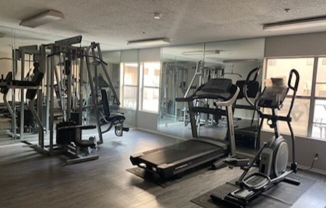 1 bed, 1 bath, 500 sqft, $1,780, Unit 207