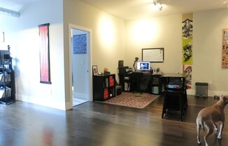 1 bed, 1 bath, 1,015 sqft, $3,440, Unit 219