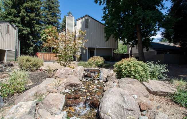 small water fall feature on Selby Ranch