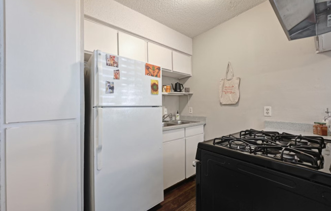 Studio, 1 bath, 400 sqft, $1,075