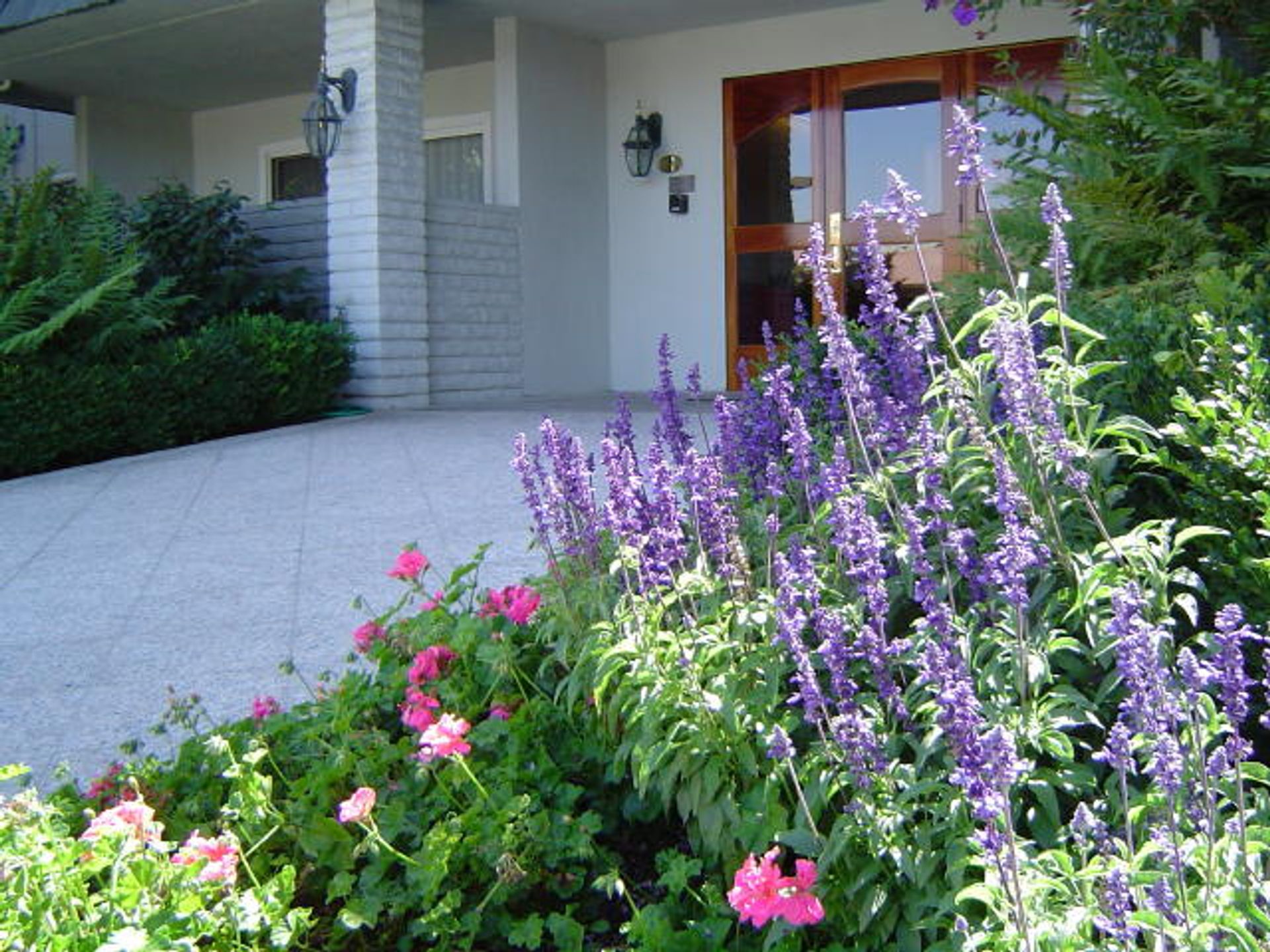 Mountain View - The Camille Apts - Close to San Antonio Center, Caltrain, Stanford