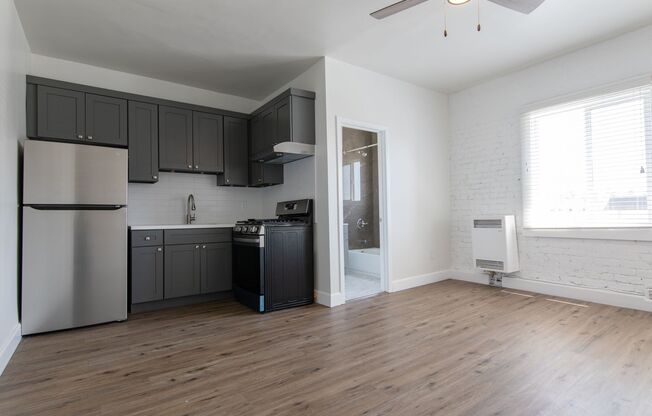 Newly Renovated Studios, JR One Bedrooms, One Bedrooms with Exposed Brick!