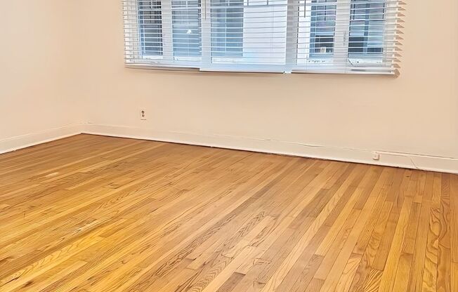 Studio, 1 bath, 467 sqft, $1,030, Unit 207