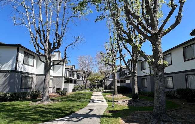 a tree lined sidewalk in the middle of an apartment complex