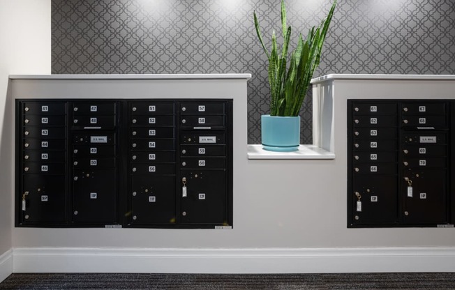 a row of mailboxes on a wall with a plant in a blue pot