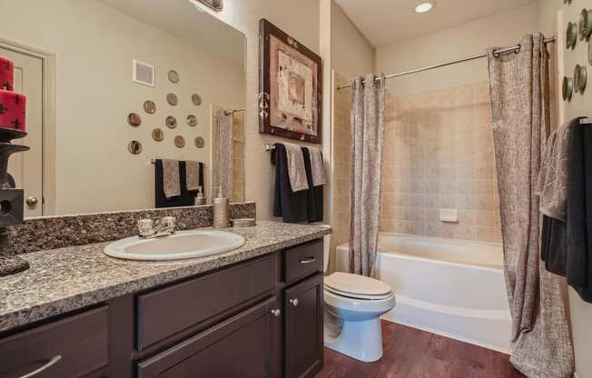 a bathroom with a sink and a toilet and a shower