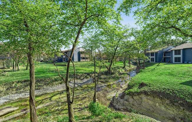 A green landscape with trees and a small stream running through it.