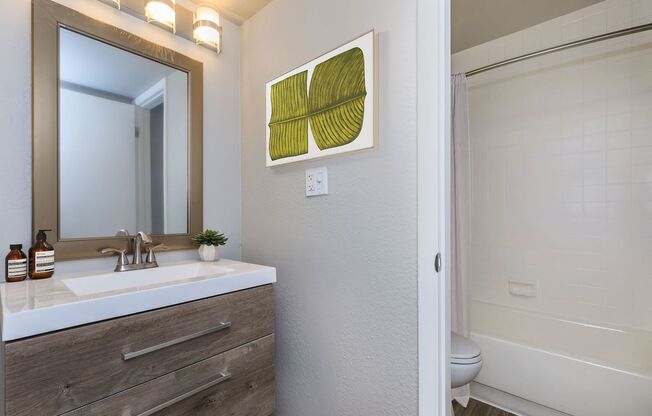 1 bed, 1 bath, 593 sqft, $1,250, Unit 3204