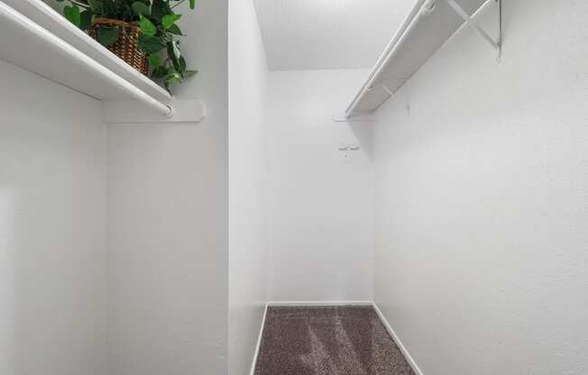 a walk in closet in a bedroom with a plant on the shelf