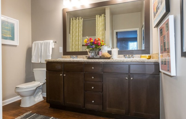 a bathroom with a sink and a mirror and a toilet