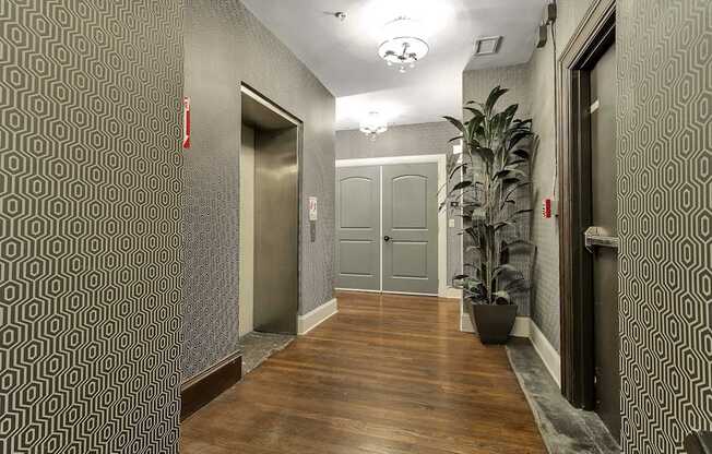 a hallway with two doors and a potted plant at The Knights @ 506 Delaware Apartments, New York