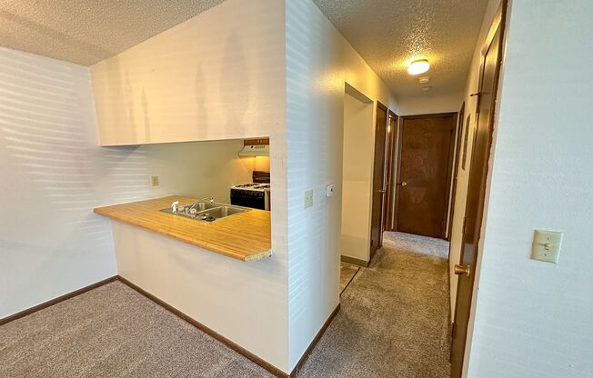 1 bed, 1 bath, $700