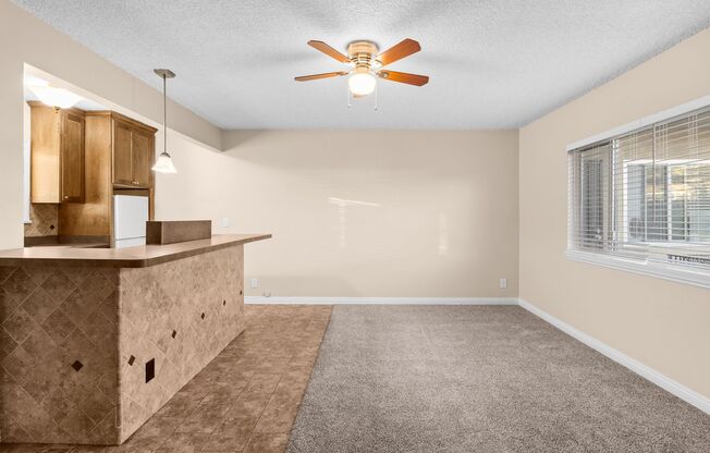 Studio, 1 bath, 335 sqft, $1,495, Unit A9