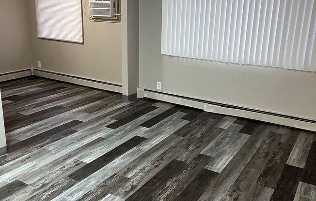 Studio, 1 bath, 462 sqft, $725, Unit DB1-1