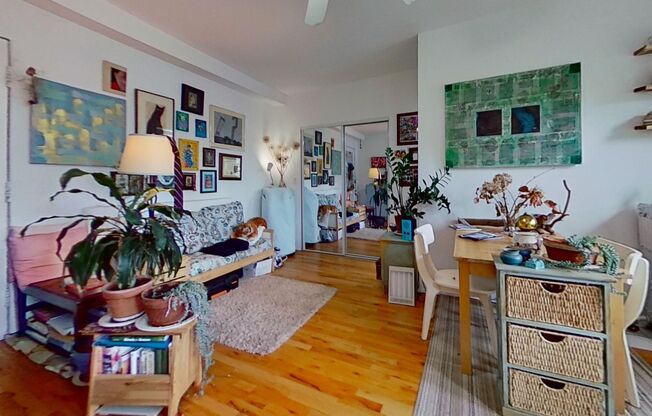 Studio, 1 bath, 410 sqft, $1,750, Unit 504