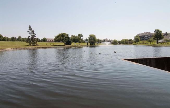 Pond near Williamsburg Park Apartments in Lincoln NE