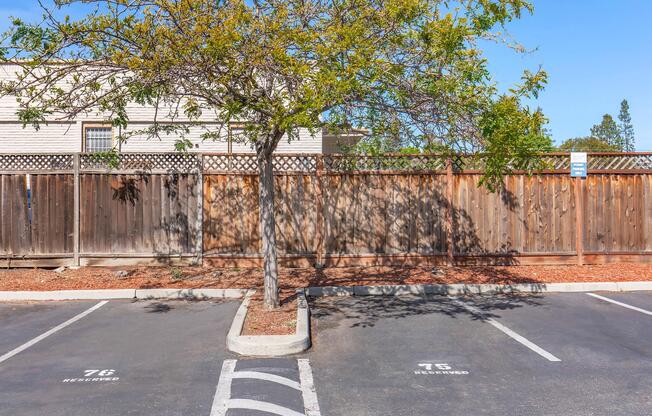 A parking lot with two reserved spaces labeled "75" and "76" on a paved surface. A tree stands in the middle, casting a shadow on the ground. In the background, there is a wooden fence and a building. The area is lined with mulch and grass, with clear blue skies above.