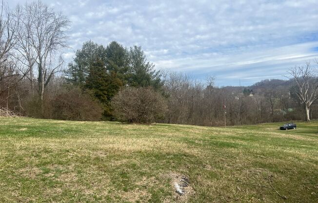 ONE LEVEL BRICK RANCHER WITH EXTRA LARGE LOT