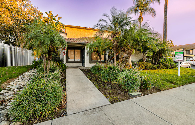 a house with palm trees and a sidewalk in front of it