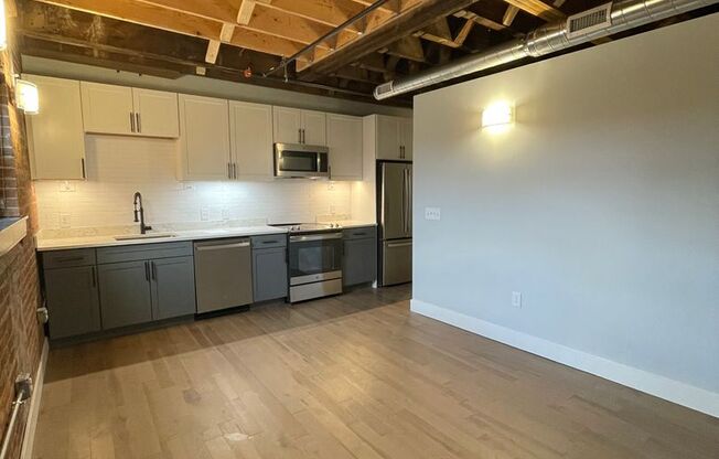 1 bed, 1 bath, 507 sqft, $1,500, Unit 308