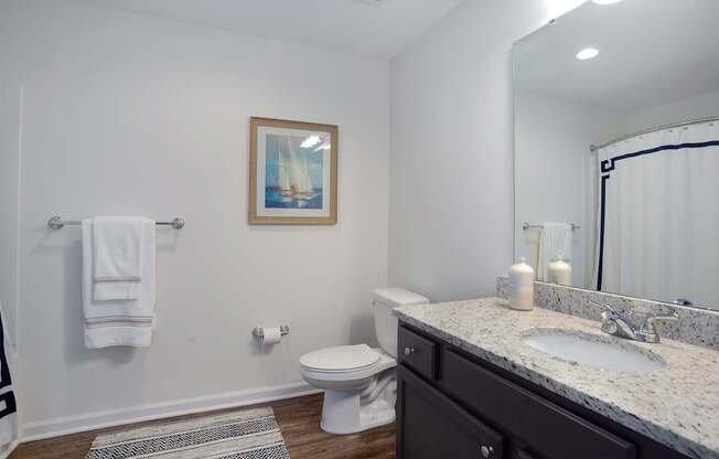 A bathroom with a toilet, sink, and a picture on the wall.