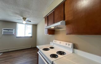 1 bed, 1 bath, 800 sqft, $919, Unit 110